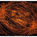 Obrázek obsahuje více než 1200 drah z let 2001 až 2012, je složen z 73 178 jednotlivých snímků, galaktická rovina leží ve středu obrazu.  Ze známých rentgenových zdrojů lze pozorovat, včetně Vela (Plachty) pozůstatek po výbuchu supernovy (zářivě bílá oblast na pravé straně), Cygnus Loop (Řasová mlhovina zcela vlevo), Scorpius X-1 (těsně nad středem obrázku) a malé a velké Magellanovo mračna (v koncentrované oblasti překrývajících se drah v pravé dolní části obrazu).