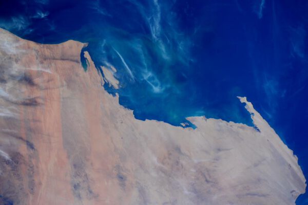 Zdravím Mauritánii! Biodiverzita této přímořské oblasti dělá z národního parku Banc d'Aguin místo světového dědictví UNESCO.