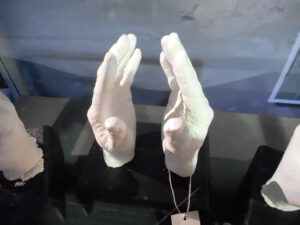 Odlitek rukou Neila Armstronga, podle kterého byly vyrobeny rukavice na míru.