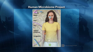 Na různých místech našich těl žijí různé mikroorganismy
