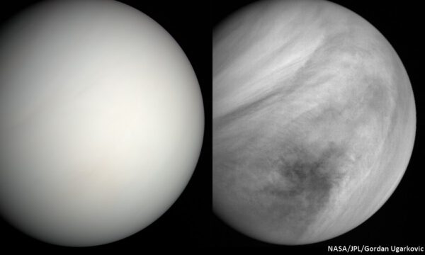 Venuše ze sondy MESSENGER. NASA/JPL/Gordan Ugarkovic
