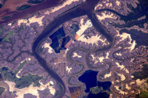 Fialovou nelze v přírodě zahlédnout často… ale v deltě této řeky v Austrálii je dominantní. Austrálie má nejšílenější barvy na Zemi.
