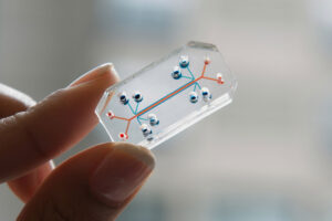 Tkáňový čip, využívaný k modelování některých vlastností plicní tkáně. (Emulate Inc.)