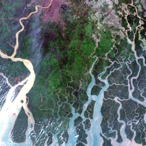 Část delty řeky Gangy vyfocená družicí Sentinel 2B a přenesená přes EDRS-A 27. října 2017.