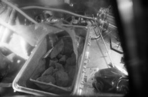 Kontejner s lunárními vzorky Apolla 11 po otevření v LRL