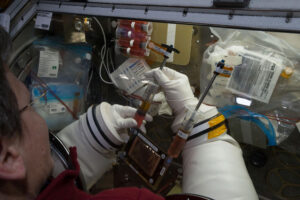 Astronautka Peggy Whitson při předchozím kole experimentu OsteoOmics v zařízení Microgravity Science Glovebox.