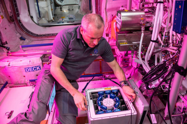 Kanadský astronaut David Saint-Jacques instaluje experiment Nano Antioxidants do inkubátoru Kubik v evropském modulu Columbus na ISS. Snímek byl pořízen 7. května 2019