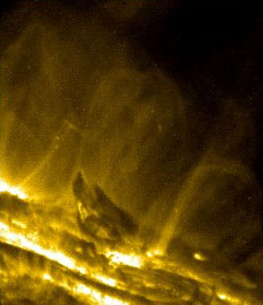 Sonda TRACE pořídila tento snímek s vlnovou délkou 19,5 nm. Přechodová oblast je vidět jako nízko se nacházející jasná mlha u povrchu Slunce.