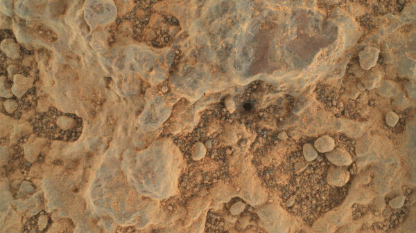Detail kamene přezdívaného „Foux“ kamerou Watson na robotickém raměni vozítka. Snímek byl pořízen během 139. solu, 11. 7. 2021. Zdroj: NASA/JPL-Caltech/MSSS