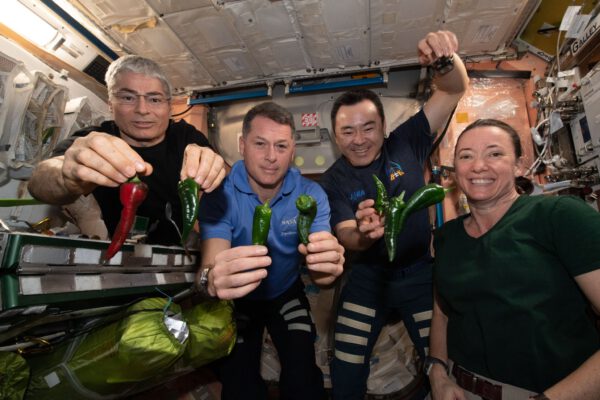 Astronauti s paprikami (zleva Mark Vande Hei, Shane Kimbrough, Akihiko Hošide, Megan McArthur). Zdroj: twitter.com