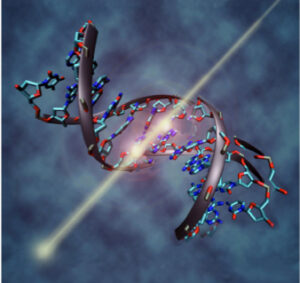 DSB - zásah DNA nabitou částicí a její poškození