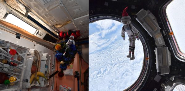 Americký astronaut Raja Chari zachytil malého společníka, který se na Vánoce vyskytoval na stanici (vímě o něm někdo více?). Zdroj: pbs.twimg.com