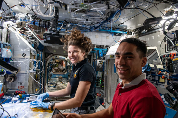 Astronauti NASA Raja Chari a Kayla Barronová sklízejí vzorky buněk bavlníku vypěstované pro experiment Plant Habitat-05, který zkoumá genetiku regenerace rostlin. Zdroj: flickr.com