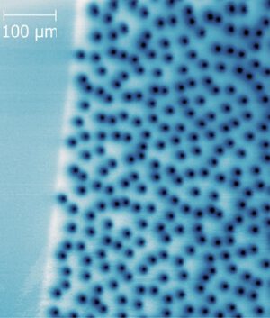 Kvantové víry v supravodiči YBCO. Snímek byl pořízen pomocí techniky zvané skenovací SQUID mikroskopie.