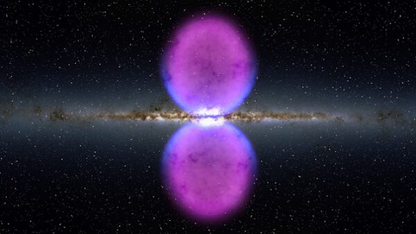 Fermiho bubliny nad a pod rovinou galaxie, která je jasně viditelná v polovině obrázku. Uprostřed galaktického disku je patrné velmi jasné centrum galaxie, odkud Fermiho bubliny vystupují. Na okraji Fermiho bublin vidíme modře emise rentgenového záření. Růžově potom lze spatřit emise gama záření.
