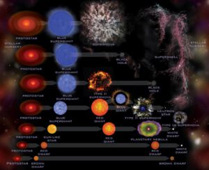 Grafika přehledně ukazující evoluci hvězd v závislosti na jejich hmotnosti. Dole jsou nejlehčí typy hvězd, nahoře nejtěžší.