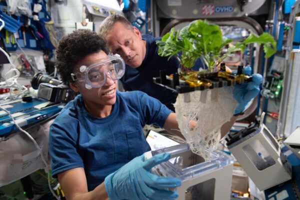 Snímek zachycuje astronauty Jessicu Watkins a Boba Hinese, kteří pracují na projektu XROOTS