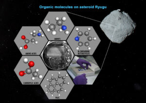 Přehled různých typů organických látek objevených ve vzorcích z planetky Ryugu.