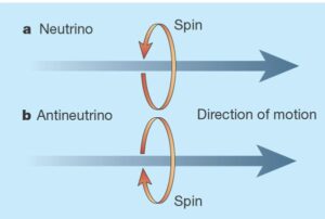 Neutrina a antineutrina mají rozdílnou chiralitu.