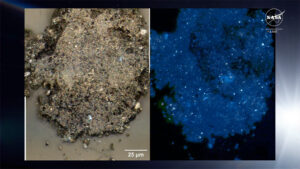 Vlevo vidíme zrnko z planetky Bennu vyfocené v optickém mikroskopu. V pravé části je stejné zrnko pod ultrafialovým zářením. Lehce namodralý svit pochází od uhlíkatých sloučenin. Jasné body připomínající hvězdy jsou shluky organických látek.