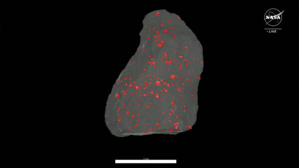 Rentgenová počítačová tomografie zmapovala toto zrnko s délkou zhruba 2 milimetry. Červené skvrny ukazují, kde se ve vzorku nachází sirné sloučeniny. Vědci tak mohou naplánovat nejvhodnější vedení virtuálního řezu za účelem získání co největšího množství vědy.