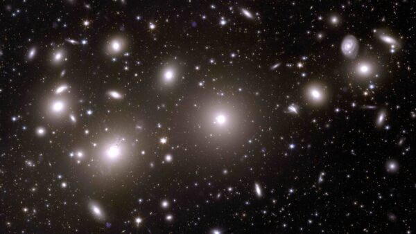 Takto vidí Euclid největší a nejjasnější obří eliptické galaxie kupy v Perseovi.