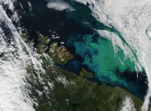 Během jara a léta je v Barentsově moři (u hranic Norska s Ruskem) vidět zelené a namodralé kolonie fytoplanktonu. Takto jej v reálných barvách 15. července 2021 zachytil přístroj MODIS (Moderate Resolution Imaging Spectroradiometer) na družici Aqua od NASA.