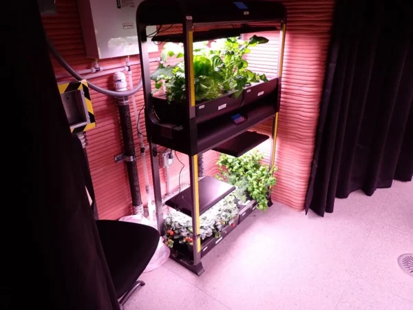 V říjnu 2023 posádka mise CHAPEA sklidila svou první úrodu. Systém pro pěstování je v rámci tohoto experimentu podobný těm, které slouží pro vnitřní pěstování plodin na Zemi. Systém poskytuje rostlinám vodu, živiny a osvětlení, které jsou zapotřebí k růstu listové zeleniny, bylinek, či malého ovoce.