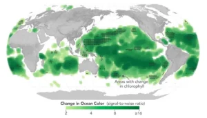 Analýzou dat z přístroje MODIS na americké družici Aqua vědci zjistili, že některé části oceánu zezelenaly více vlivem fytoplanktonu, který obsahuje chlorofyl.