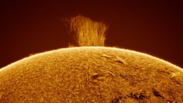 Krásný snímek "povrchu" Slunce a sluneční atmosféry. 