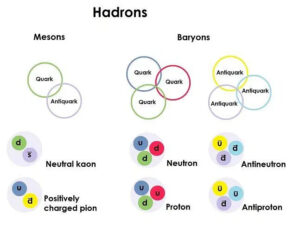 Základní typy hadronů.