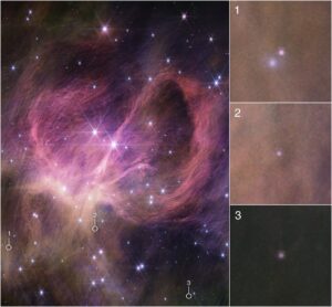 Pohled na IC 348 z Webbova teleskopu. Kolečky jsou vyznačena místa,kde se povedlo najít hnědé trpaslíky. Ty pak vidíme vpravo na detailnějších snímcích. 