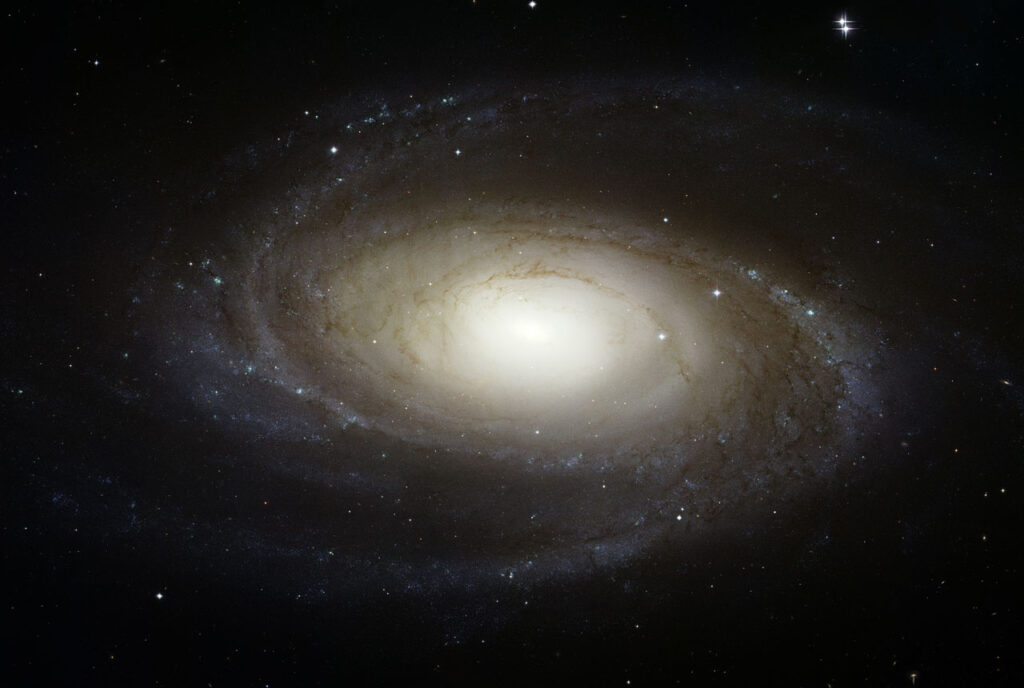 Galaxie M81