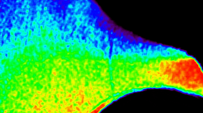 Vědci mohou poprvé pozorovat změny teploty ve vnější atmosféře Slunce díky nové technologii, kterou přinesl přístroj CODEX od NASA. Tato animovaná, barevně odlišená tepelná mapa ukazuje změny teploty v průběhu několika dní, přičemž červená barva označuje teplejší oblasti a fialová chladnější.
