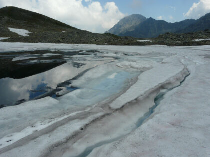 Ľadové pleso v Tatrách, lokalita sněžných řas.