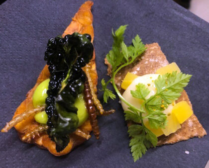 Budou astronauti letící k Marsu pojídat jídlo vyrobené z hmyzu pěstovaném na planetoletu?