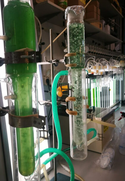 Laboratorní fotobioreaktory pro kultivace mikroskopických řas pro výzkumné účely