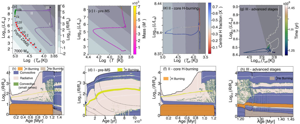 H-R (nahoře) a Kippenhahnovy diagramy (dole) pro hvězdu o hmotnosti 7000 M⊙. Celý vývoj hvězdy je znázorněn v (a) a (b), její vývoj před hlavní posloupností je znázorněn v (c) a (d), fáze spalování vodíku v jádru je v (e) a (f) a spalování helia v jádru až do konce spalování křemíku je v (g) a (h). Černé a bílé čáry v Kippenhahnových diagramech jsou izomasové a izotermické čáry, červené a zelené tečky podél dráhy v levém dolním rohu v (a) jsou polohy nulového věku hlavní posloupnosti (ZAMS) hvězd Pop III o hmotnosti 2–120 M⊙ a 1000–10 000 M⊙ pro srovnání.