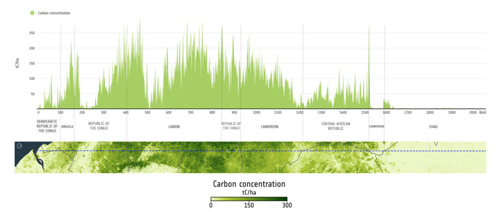 Měření uhlíku vázaného v lesích od evropské družice Biomas.