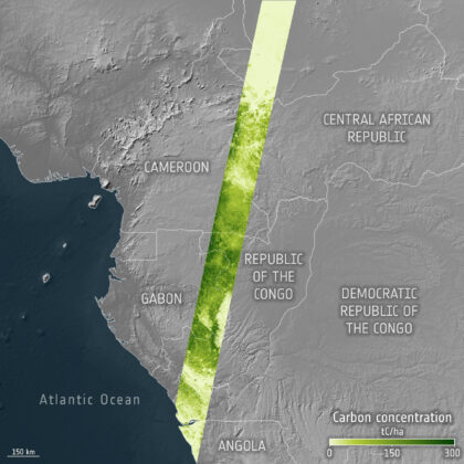Mapa uhlíku vázaného v lesích podle mise Biomass agentury ESA.