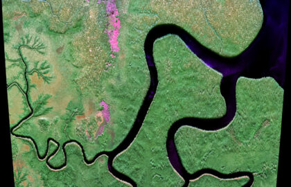 Radarový snímek v pásmu P získaný z leteckého měření.