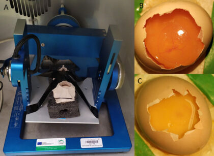 Přípravný experiment simulující mikrogravitaci na biaxiálním klinostatu v laboratoři Doc. Vladana Ondřeje, katedra botaniky, Univerzita Palackého v Olomouci.