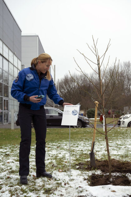 Sophie Adenot a její stroj - ambroň západní (Liquidambar styraciflua) ve středisku EAC v Kolíně nad Rýnem.