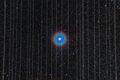 Nemá-li astronomie dopadnout tak špatně jako vidíte na tomto obrázku, musíme začít jednat rychle. Zachycená hvězda je Albireo v Labuti a kolem ní vidíte spoustu stop po družicích Starlink.